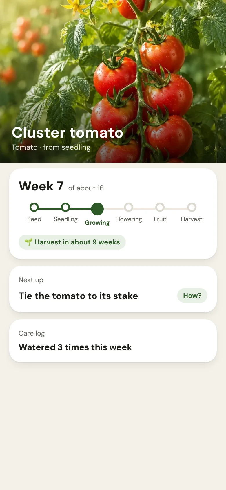 Plant screen with growth stages