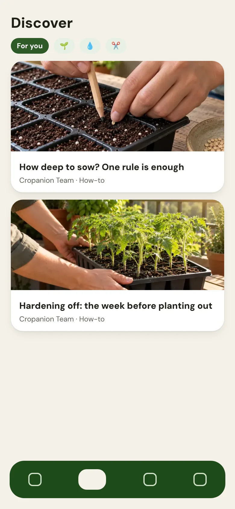 Discover feed with posts from Mentors